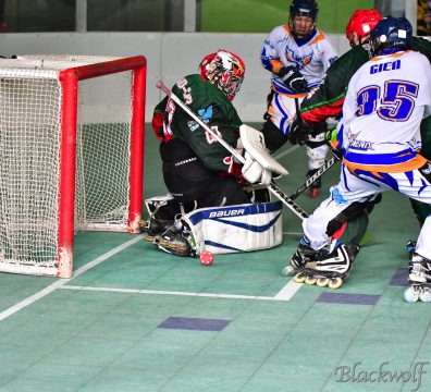 Proche du but - Hockey - Boyard - Olivier